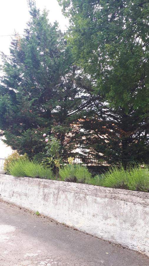 Apartman Rosemary ริเยกา ภายนอก รูปภาพ